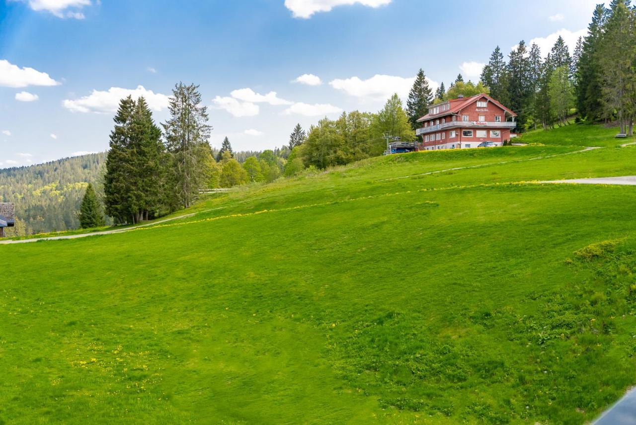 Auerhuhn Apartman Feldberg  Kültér fotó